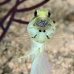 jawfish_yellowhead_bcf_nwp_v_0318_tci2246.jpg